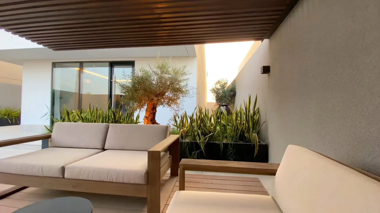 Outdoor lounge seating with planters and an olive tree on a shaded villa patio